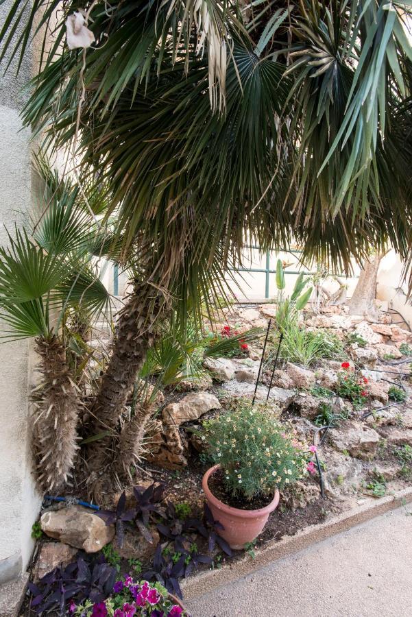 Eshkol Housing Haifa - Luxury Villa Panoramic Sea View Esterno foto